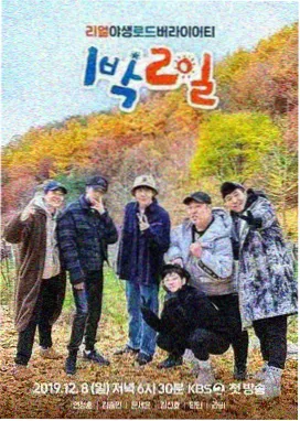 无人认领的夏天封面